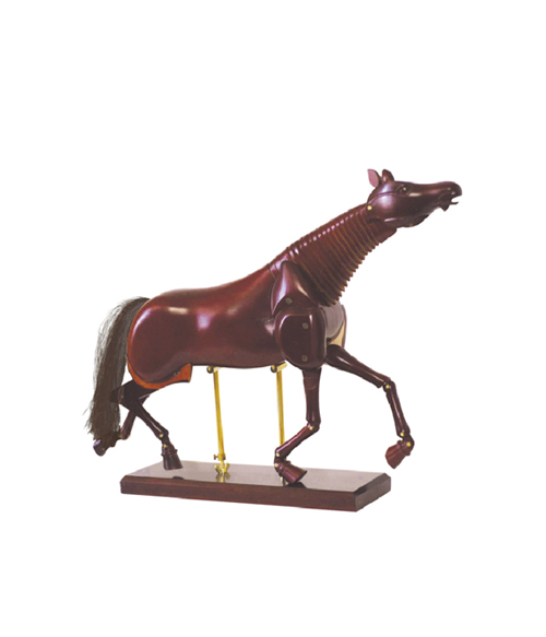 Horse Manikins