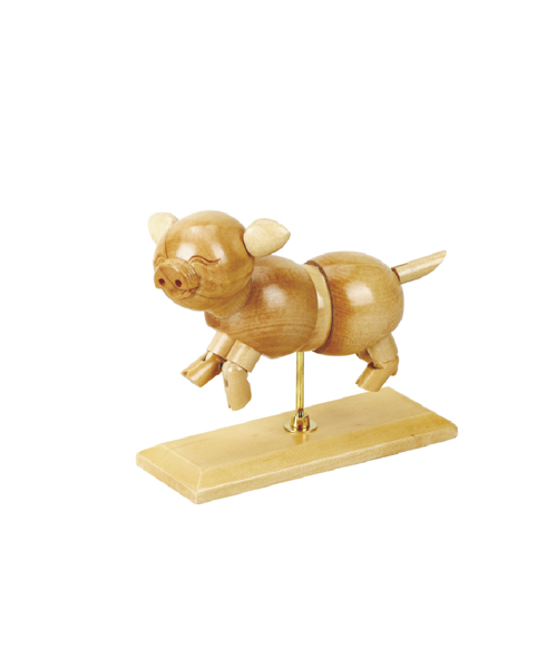 Pig Manikins