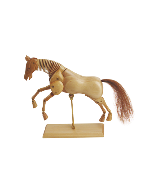 Horse Manikins